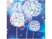 40CM 40CM OBRAZEK DMUCHAWCE ABSTRAKCYJNYM TLE DRUK PŁÓTNO OBRAZ