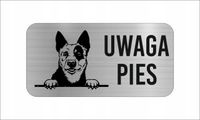 GRAWER Tabliczka nierdzewna 20x10 cm UWAGA PIES Australian Cattle Dog