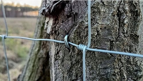 SIATKA LEŚNA ogrodzeniowa 100cm 8/15 L - ROLKA 50m - GRUBY DRUT OCYNKOWANA na Arena.pl