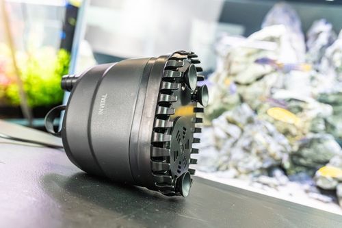 INVITAL pompa z dolnym wlotem 1200 l/h 1,8m na Arena.pl