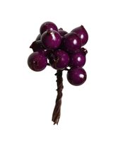 Głóg ozdobny fioletowy 5 sztuk po 12 kulek