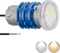 Lampa basenowa mini LED LyLmLe PL06-DS6W 6W 2 kolory 12V IP68 gwint 1 1/2"