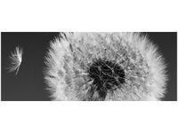 100CM 40CM OBRAZ ŚCIENNY DMUCHAWIEC GEMMA STILES DRUK