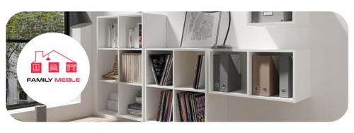 Regał półka organizer pojemnik stojak na płyty winylowe segregatory Cubo 2 na Arena.pl