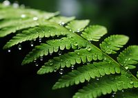 product-compare-59354860