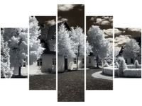 product-compare-58695280