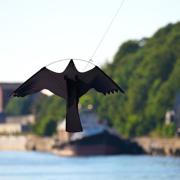 ODSTRASZACZ PTAKÓW GOŁĘBI LATAWIEC JASTRZĄB MASZT zdjęcie 5