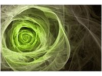 OBRAZ GREEN ROSE