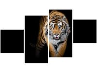 product-compare-58694833