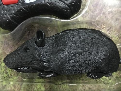 Wildroid Mysz na Arena.pl