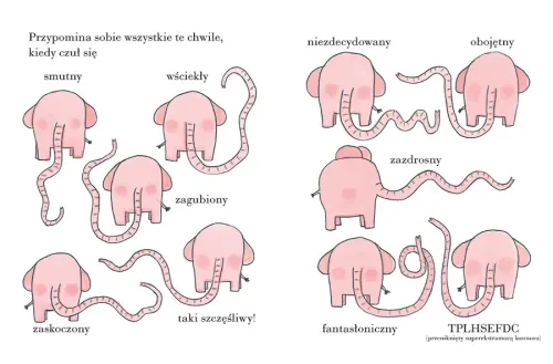 Pomelo wspomina na Arena.pl