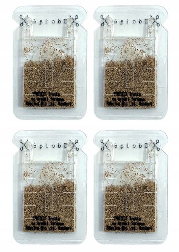 SILNY PROSZEK ŚRODEK PREPARAT TRUTKA NA MRÓWKI FARAONA PROTECT 3 SZT na Arena.pl