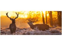 100X40CM JELENIE OBRAZ DREWNO