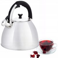 Czajnik tradycyjny stalowy Ofenbach 3,2 l szary