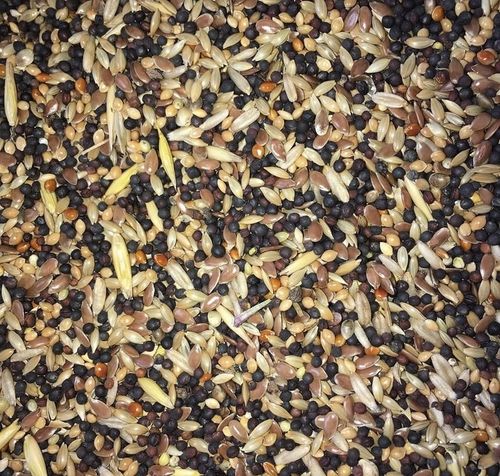 pokarm dla kanarków karma kanarek wiaderko 3 litr #210 na Arena.pl