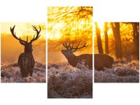 90X60CM OBRAZ JELENIE