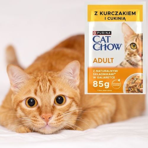 karma mokra dla kota purina cat chow adult kurczak z cukinią naturalna 85 g na Arena.pl