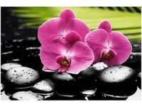 100 70CM OBRAZ PŁÓTNO STORCZYKI KAMIENIACH PŁÓTNO RAMA