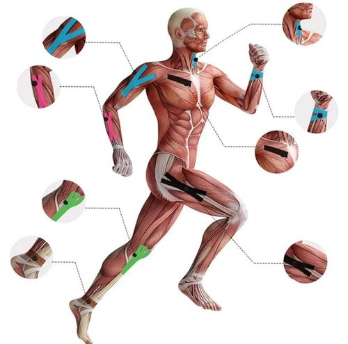 4x TAŚMA KINEZJOLOGICZNA TAPE TAPING TEJPY DO CIAŁA NA KOLANA ŁOKCIE na Arena.pl