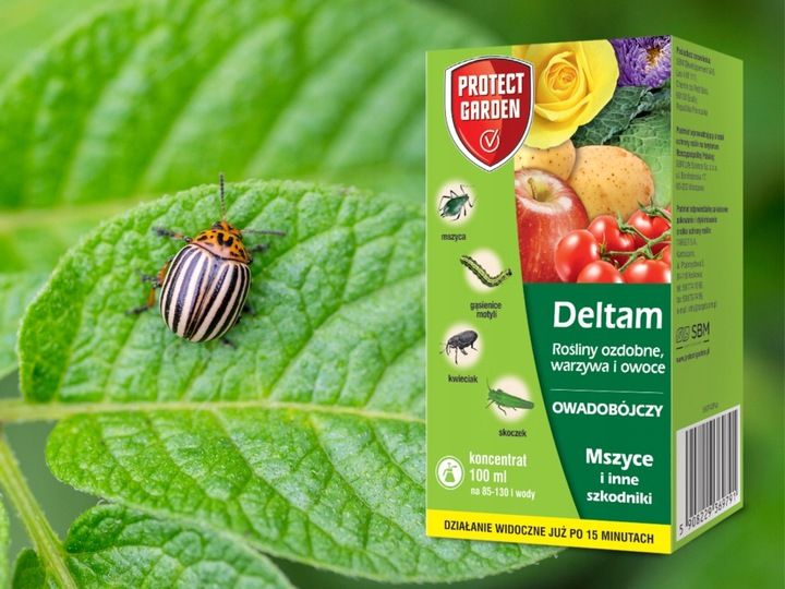 DELTAM ŚRODEK OWADOBÓJCZY MSZYCA KWIECIAK SKOCZEK GĄSIENICE MOTYLI 100ML zdjęcie 5