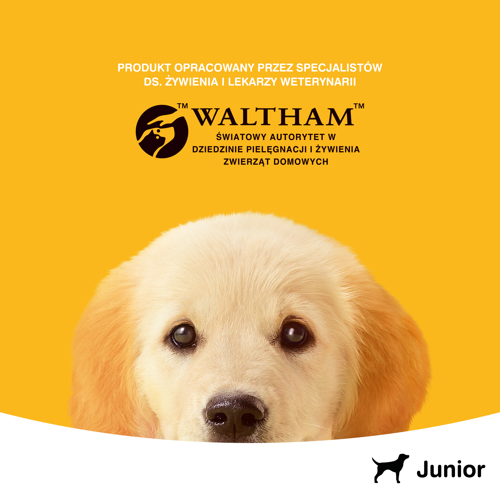 PEDIGREE Junior kurczak 400g na Arena.pl