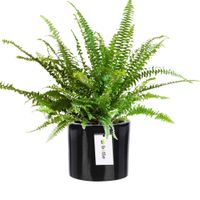 Doniczka osłonka ceramiczna Ø 12,5cm H 12cm kolor Czarny połysk