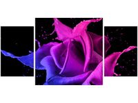 80X40CM RÓŻA FARB JAKUB BANAŚ TRÓJ OBRAZ