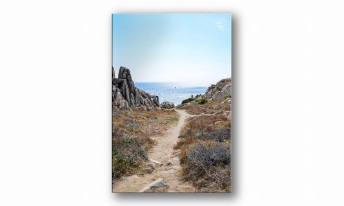 OBRAZ NA PŁÓTNIE 100 Ścieżka nad morze 20x30cm na Arena.pl