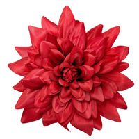 Dalia wyr. duża red