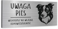 Tabliczka dibond uwaga pies Border Collie 20x10 cm z NADRUKIEM UV