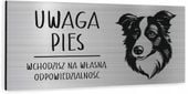 Tabliczka dibond uwaga pies Border Collie 20x10 cm z NADRUKIEM UV