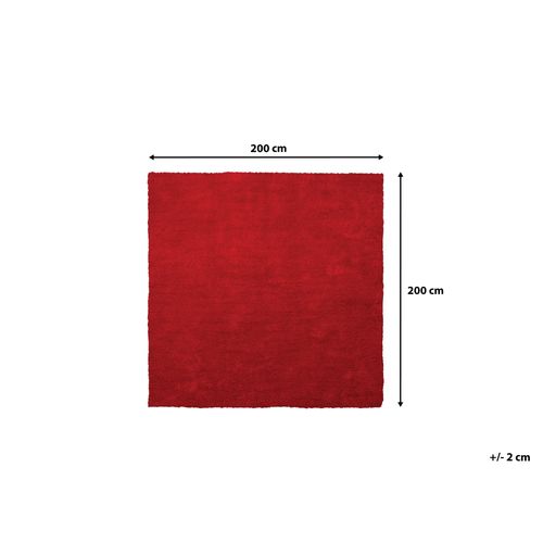 Dywan 200 x 200 cm czerwony DEMRE na Arena.pl
