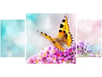 product-compare-58653334