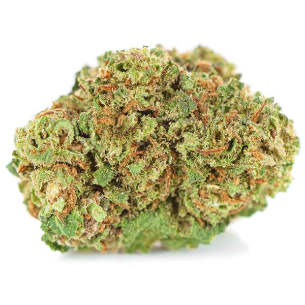 Susz konopny CBD  White Widow 10 g zdjęcie 7