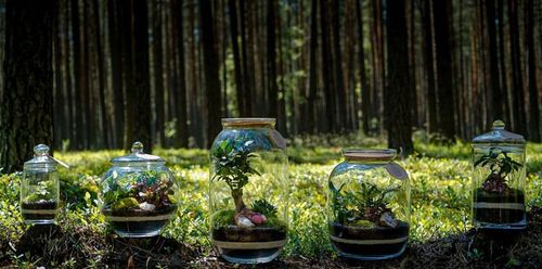 ZESTAW STARTOWY DO LASU W SZKLE KOMPLETNY 12 elementów MEGA DUŻY XXL na Arena.pl