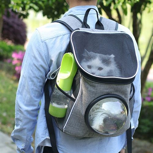 przenośna butelka na wodę i karmę jedzenie dla psa na Arena.pl