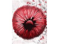 40CM 50CM OBRAZEK ŚCIENNY CZERWONE DMUCHAWCE DRUK PŁÓTNO OBRAZ
