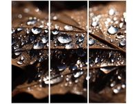 product-compare-58702588