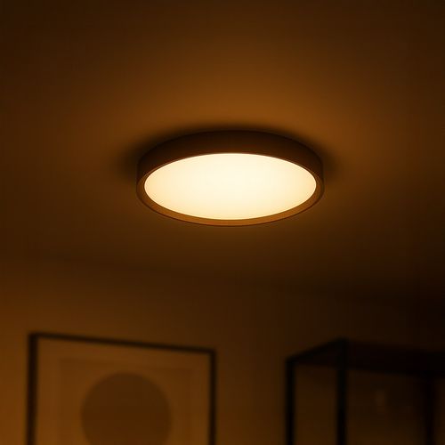 Plafon FOREST 24W LED Ø390 na Arena.pl