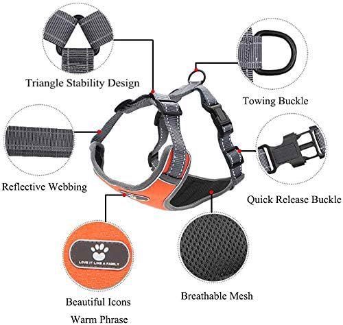 Regulowane szelki ze smyczą odblaskowe pomarańcz M na Arena.pl