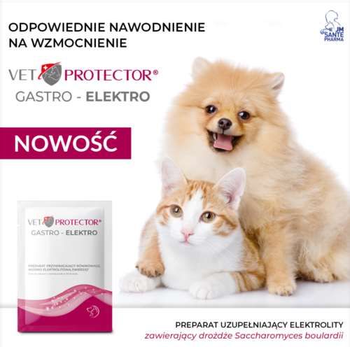 Vet Protector Gastro – Elektro saszetka 3g na Arena.pl