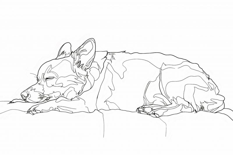 Plakat 60x40cm Śpiący Psiak zdjęcie 1