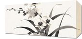 Obraz 40x20cm Orchidea