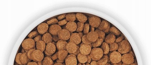 PEDIGREE sucha karma dla psa duże i średnie rasy drób warzywa 12 kg na Arena.pl