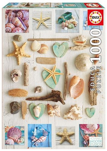 Educa Puzzle 1000 elementów, Muszle na Arena.pl