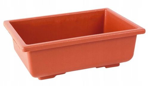 ZESTAW DO UPRAWY EUKALIPTUS SREBRNY DRZEWKO BONSAI NASIONA 5 SZT WIELOLETNI na Arena.pl