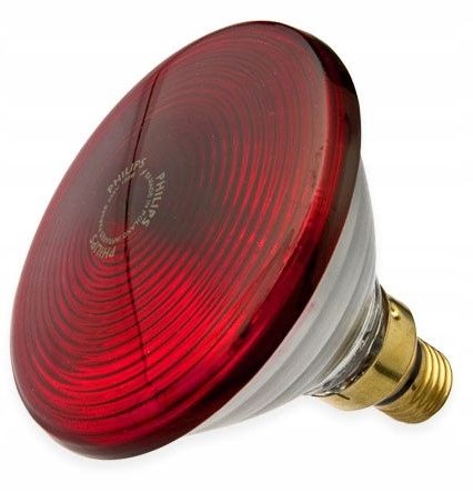 Philips Promiennik Podczerwieni PAR38 IR 150 W E27 – Terapia Cieplna na Arena.pl