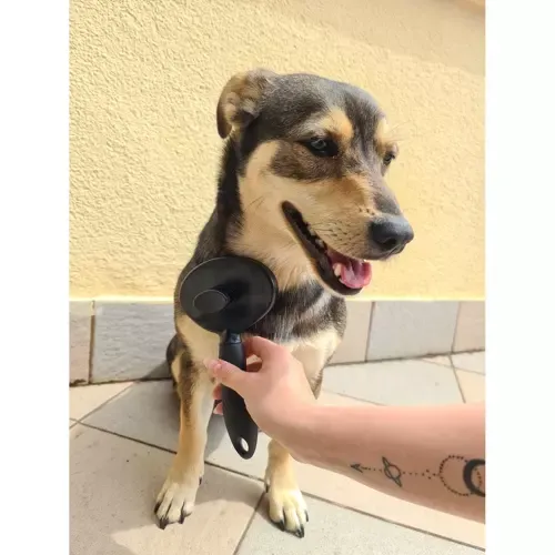 Szczotka Do Sierści Samoczyszcząca na Arena.pl