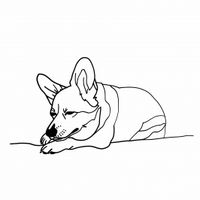 Plakat 80x80cm Śpiący Corgacz