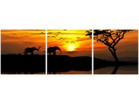 product-compare-58647834